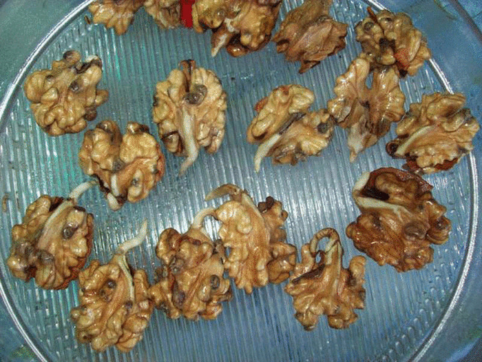 content_walnuts_1__econet_ru (700x525, 593Kb)