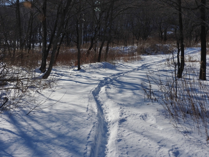 5559494_DSCN5153 (700x525, 313Kb)