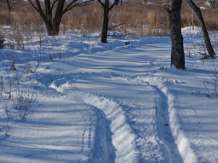 5559494_DSCN5156 (700x525, 304Kb)