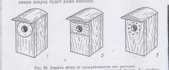 Домик для дятла чертеж своими руками фото