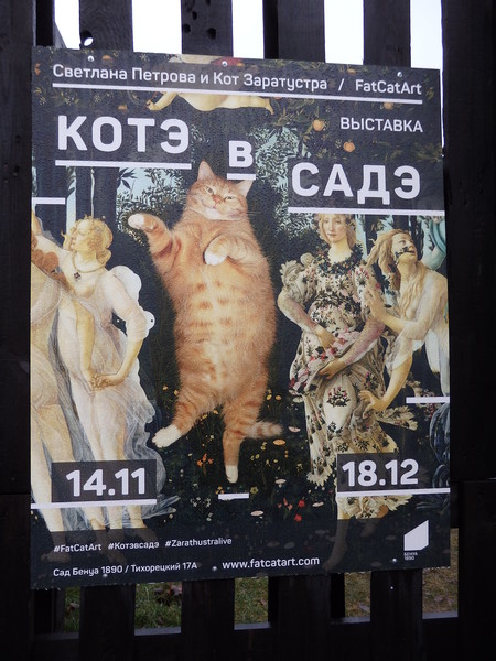 3109898_Kote_Petrovoi (450x600, 94Kb)