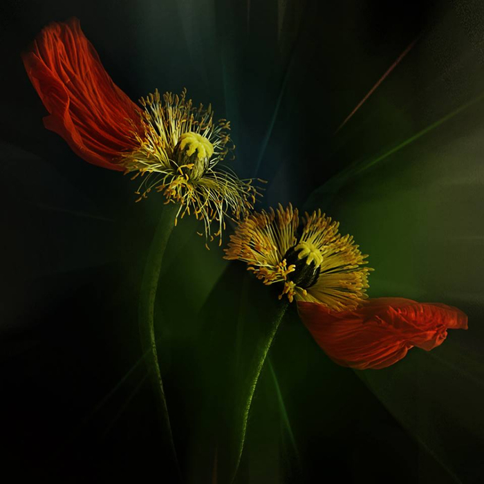 Christine Ellger Tutt'Art@ (62) (700x700, 262Kb)