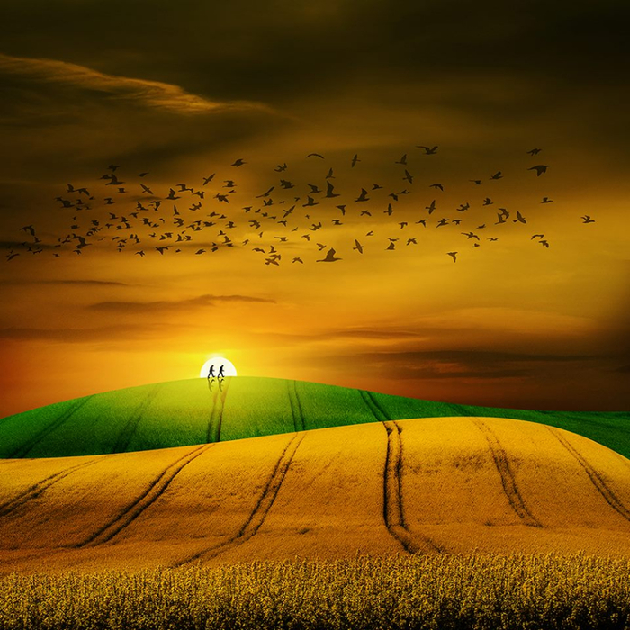 Christine Ellger Tutt'Art@ (29) (700x700, 536Kb)