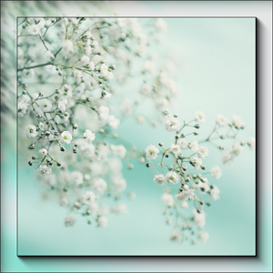 5146136_5_1_ (300x300, 66Kb)