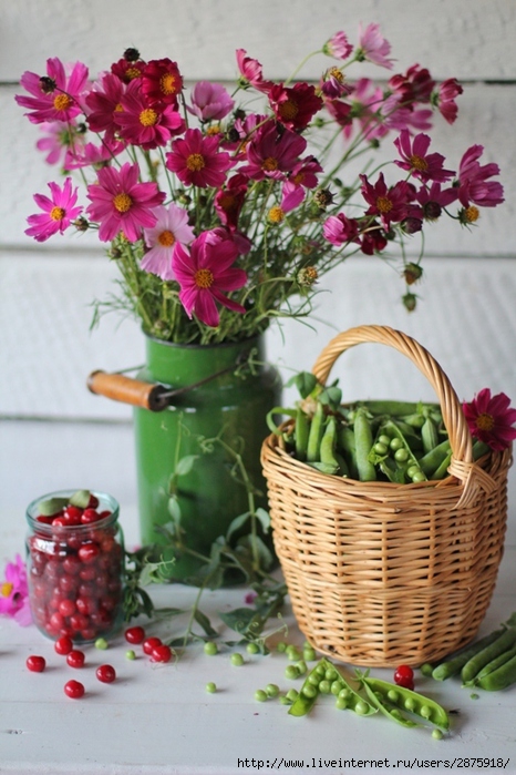 IMG_0267 (466x700, 254Kb)