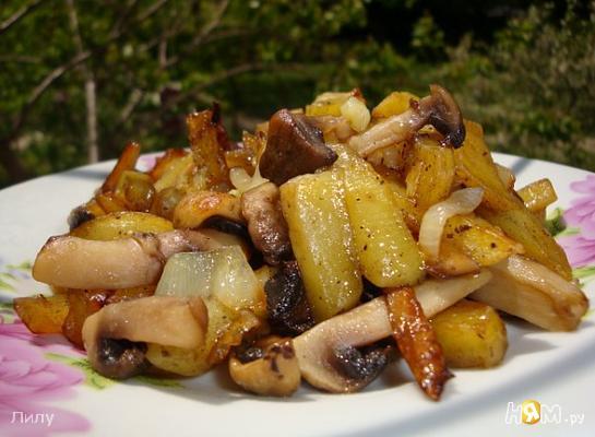 Жюльен, суп и жареные с картошкой: готовим блюда из грибов