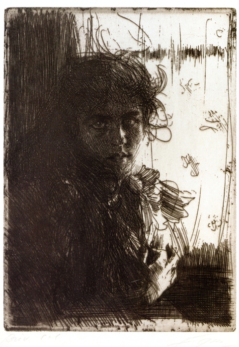 An Irish Girl (    )  1894 (481x700, 268Kb)