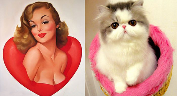 CHem-koshka-pohozha-na-zhenshhinu-4 (600x325, 194Kb)