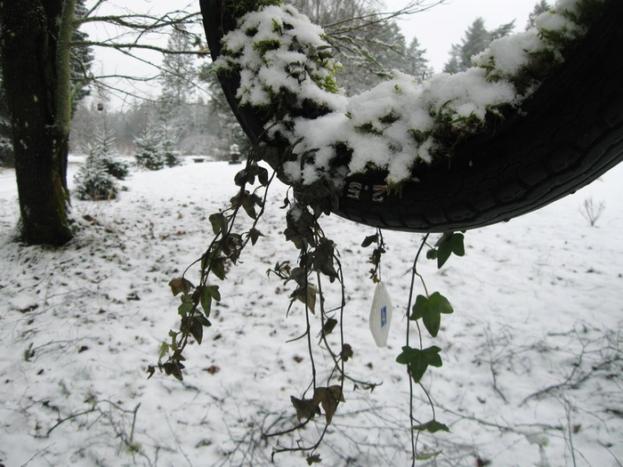 aaa spring 010 (700x525, 338Kb)