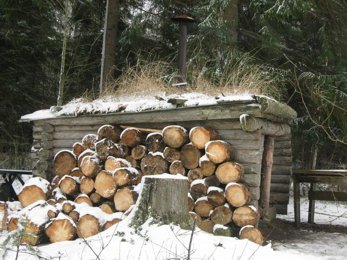 aaa spring 037 (700x525, 428Kb)