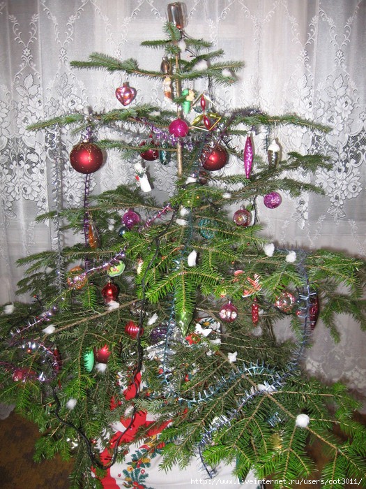 IMG_2881 (525x700, 358Kb)
