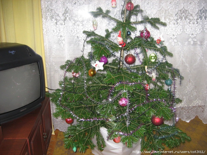 IMG_9900 (700x525, 324Kb)