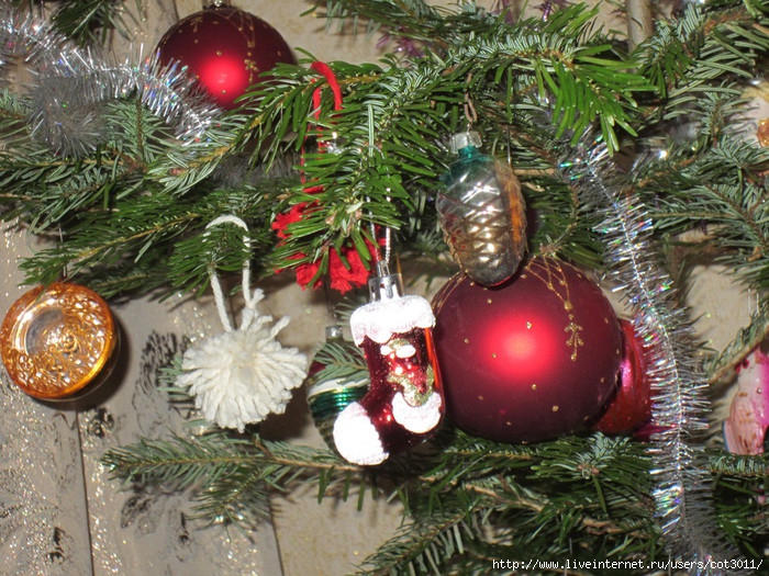 IMG_2898 (700x525, 348Kb)