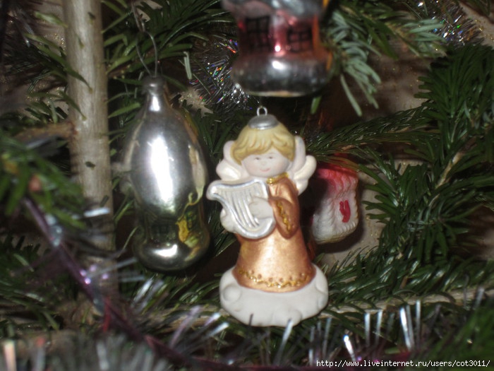 IMG_2900 (700x525, 203Kb)
