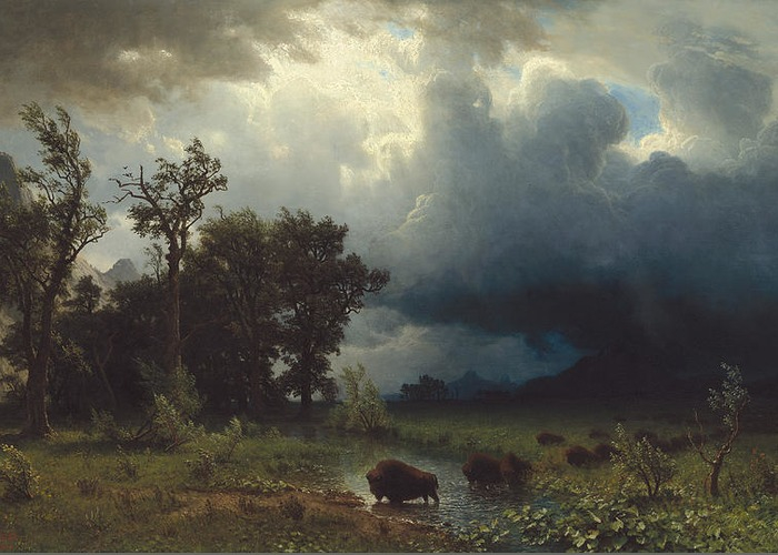 2-buffalo-trail-the-impending-storm-albert-bierstadt (700x500, 284Kb)