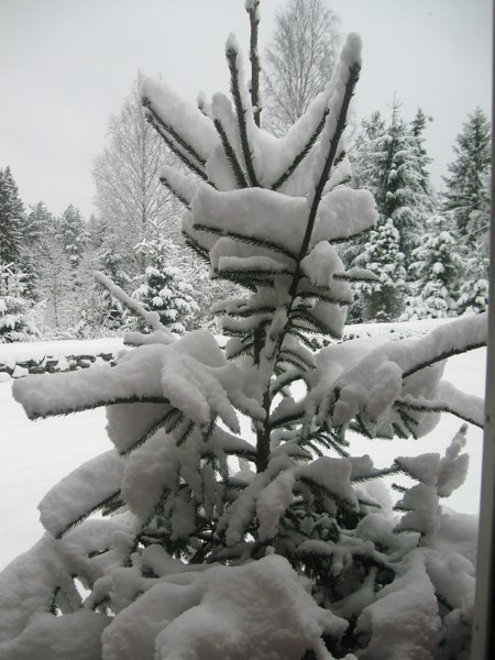 b spring 006 (450x600, 198Kb)