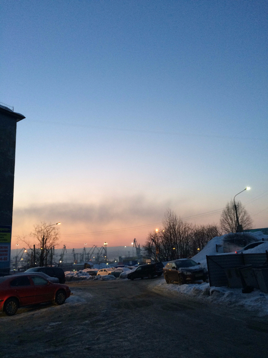 128403489_IMG_0781 (525x700, 420Kb)