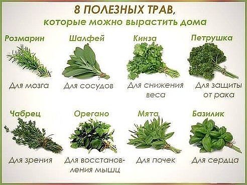 3443454_image_1_ (492x369, 66Kb)