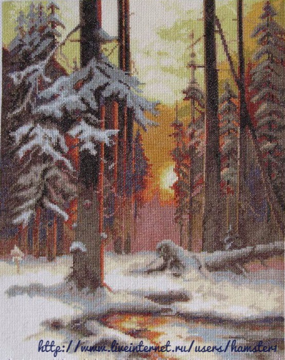 ВХ-1076 Закат в снежном лесу  (555x700, 203Kb)