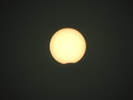  DSCN8700 (700x525, 186Kb)