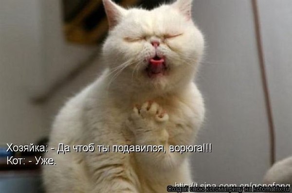 https://img0.liveinternet.ru/images/attach/c/11/128/450/128450598_2305265641.jpg