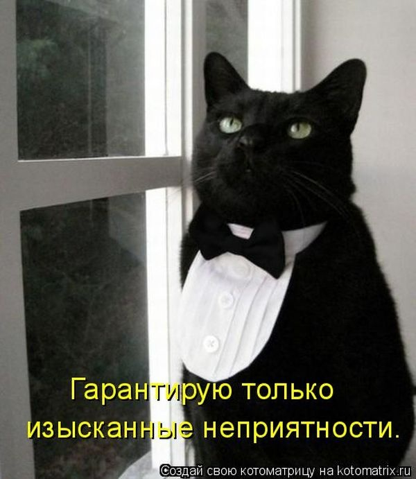 https://img0.liveinternet.ru/images/attach/c/11/128/450/128450680_115658742_large_4ba67b.jpg