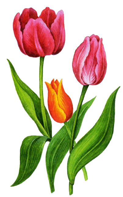 111572772_4XXXX (403x648, 360Kb)