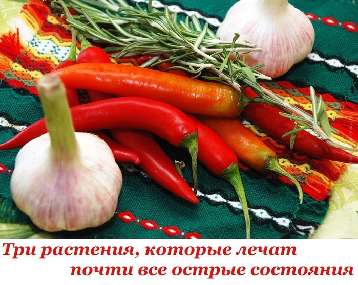 image (700x558, 495Kb)