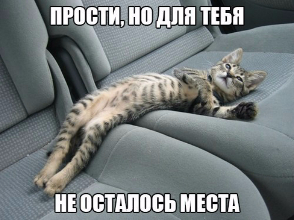 4031211_original (600x450, 230Kb)