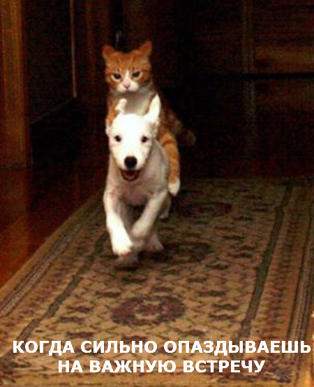4032767_original (450x554, 272Kb)