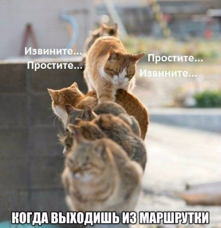 4032104_original (450x464, 201Kb)