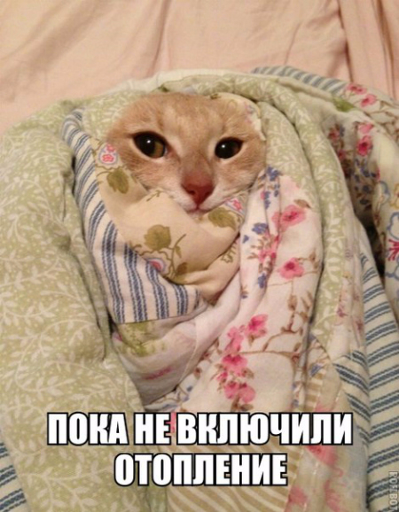 4029591_original (450x578, 281Kb)