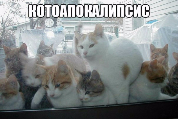 4030583_original (600x401, 215Kb)