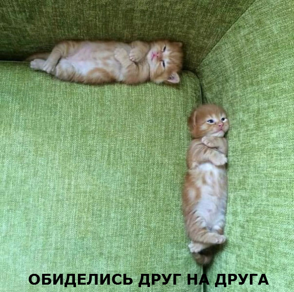 3832309_original (600x595, 376Kb)
