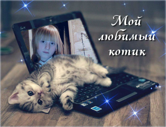 Картинки, открытка доброе утро мой любимый котик