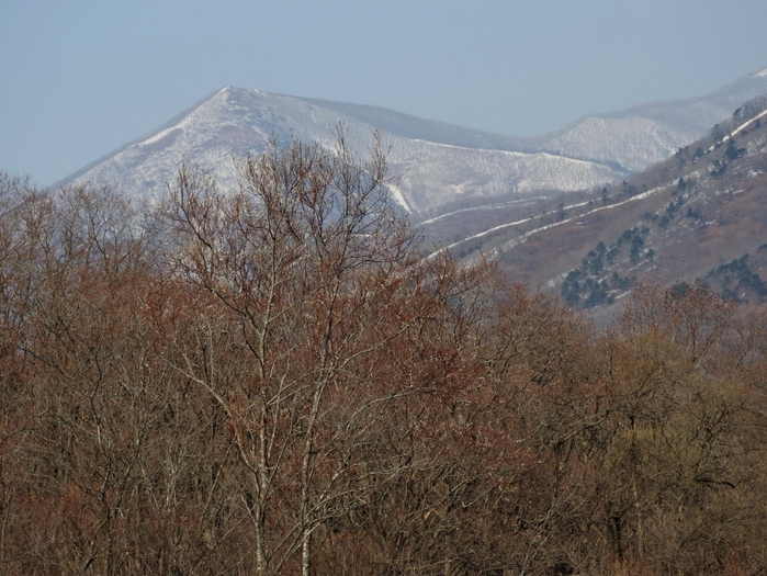 5559494_DSCN5884 (700x525, 297Kb)