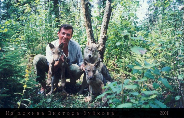 В Сызрани мужчина кирпичом разбил стекла в машине, которая