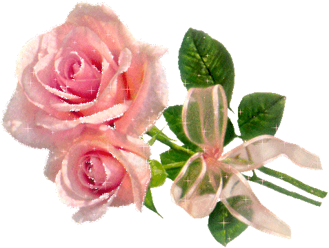 5043945_rosa_1 (477x360, 246Kb)