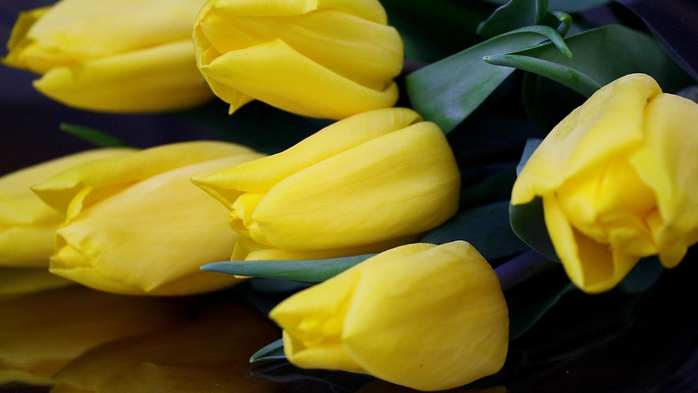 5714745_2560x1440 (700x393, 168Kb)