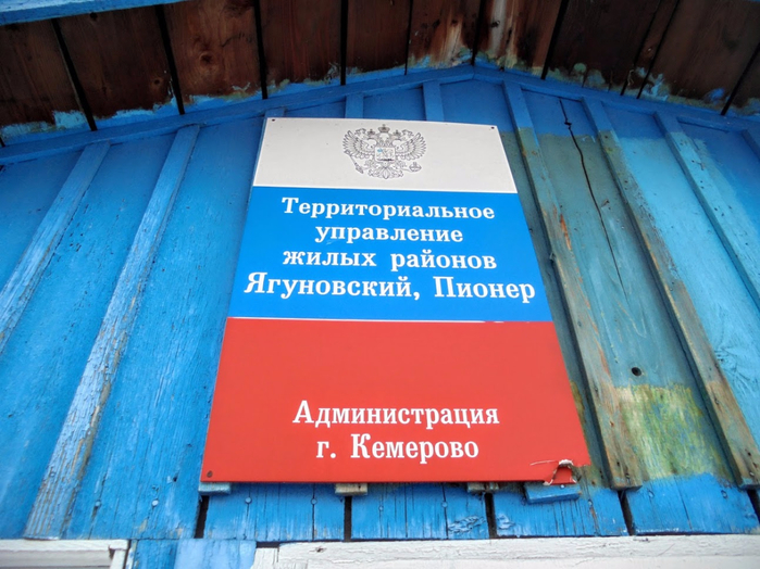 Платник в кедровке в Кемерово: выберите из широкого ассортимента нашего магазина