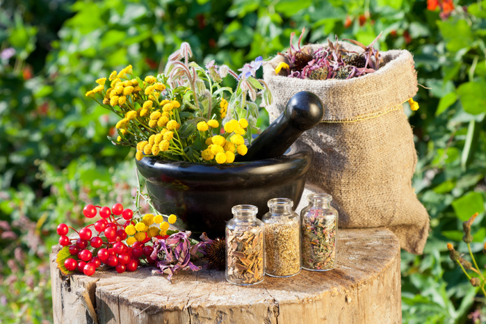 bigstock-Healing-Herbs-In-Mortar-And-In-45647386-1024x683 (700x466, 496Kb)
