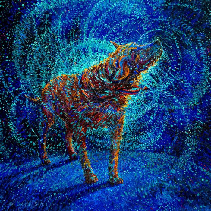 (3) (700x700, 889Kb)