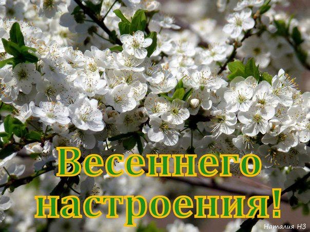 Счастливого сегодня картинки весенние