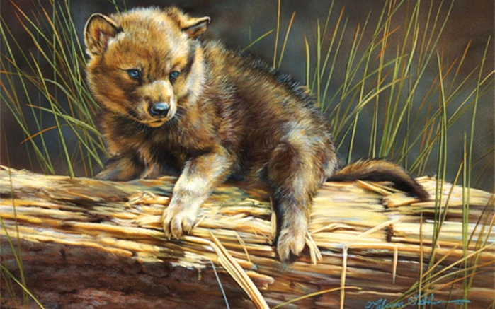 5329627_littlewolfpup1518283backgroundwallpapers (700x437, 261Kb)