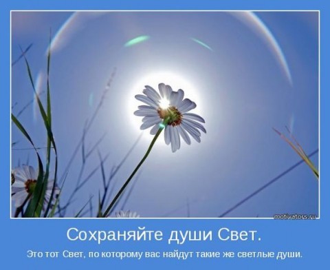   (480x392, 34Kb)