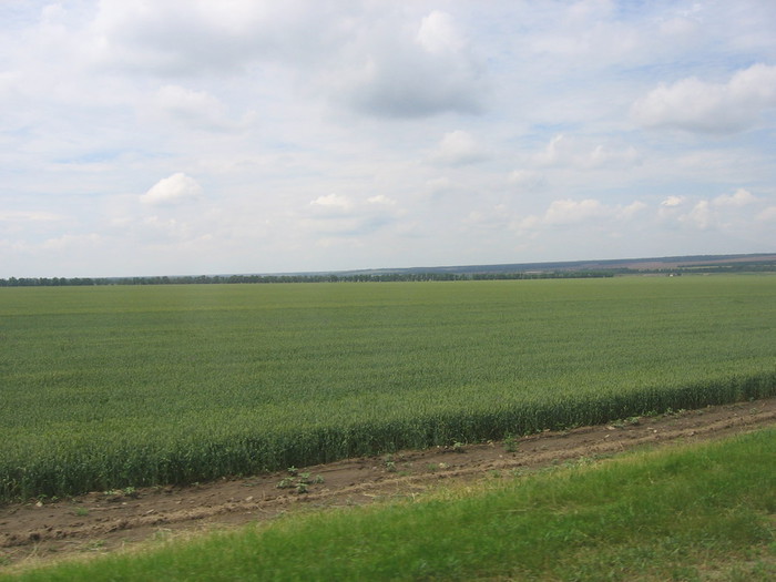 IMG_0212 (700x525, 76Kb)