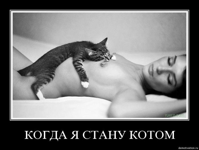  (699x527, 38Kb)