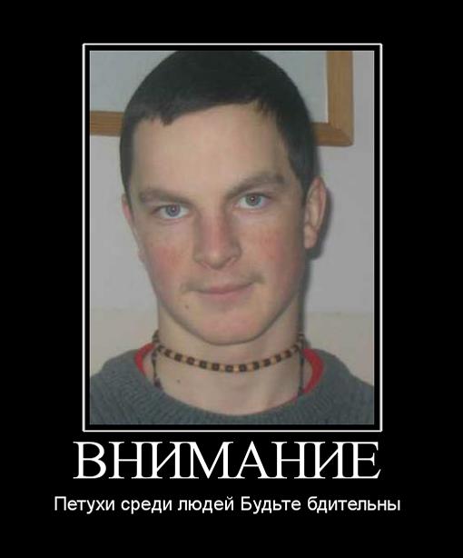 tmpDjPHIn (510x614, 27 Kb)