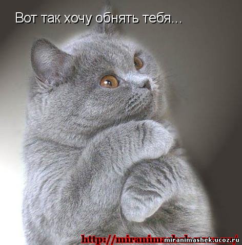 (472x479, 46Kb)