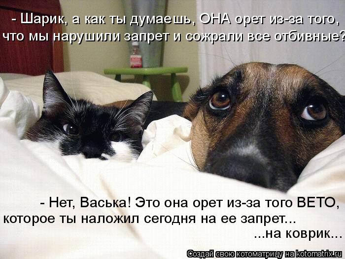  (700x525, 72Kb)